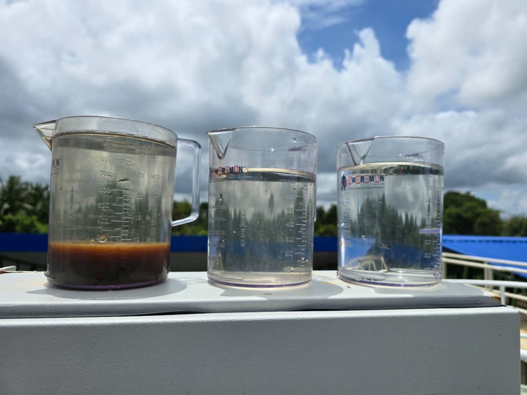 WhatsApp Image 2025-02-24 at 11.54.41